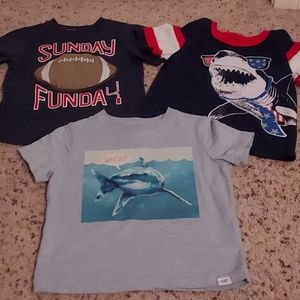 3 t-shirts size 2T